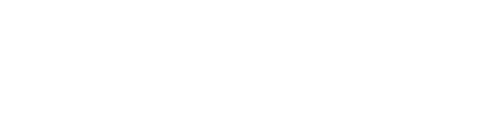 The Aston East Village Logo